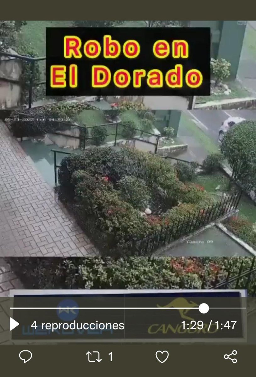 Aldo Espinosa🇵🇦 Mt 8,5-11 tweet media