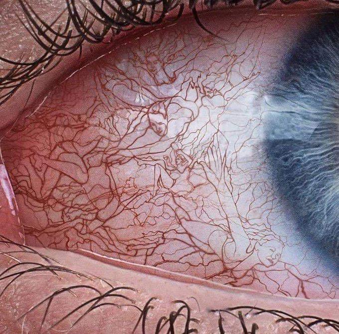 كل شيء يمكن إخفاؤه، إلا ملامح العين حين تحن، وحين تحزن، وحين تفتقد شخصاً !!