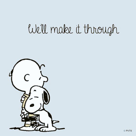 Maybeitsme🌈🌷 (@ginggongk) on Twitter photo 