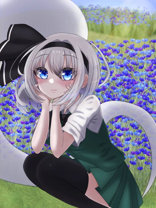 お花畑と妖夢ちゃん°•. ✿ .•° 