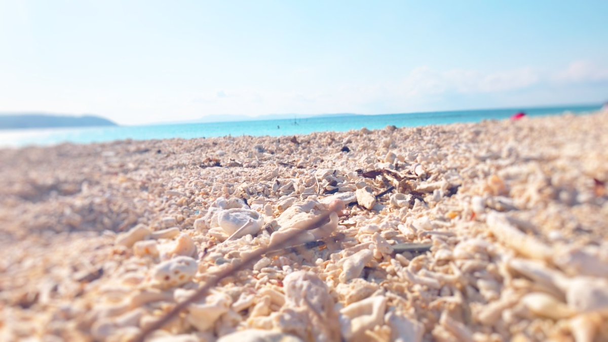 人は簡単に楽をしたがる。
そこで楽をせず、突き進める者が
真の成功者になる。
#投資 
#仮想通貨 #暗号通貨 
#動画編集 #プログラミング
