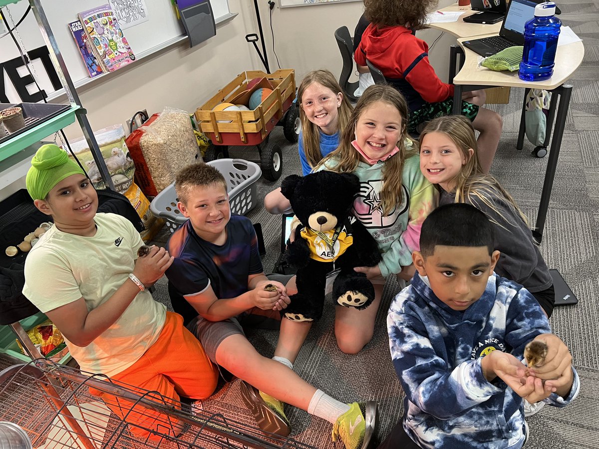 AISEast's tweet photo. Victor is going to have the BEST day ever at AISEast! He even gets to visit with the baby chicks! #avonisallin #AISEast #victorvisits @aef_avonschools https://t.co/2SrsbSprQu