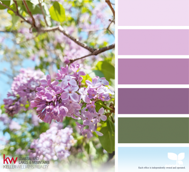 jalbert_bella's tweet photo. The lilacs are blooming! Did you know that the purple lilac is the state flower of New Hampshire? Check out this gorgeous lilac inspired color board. Where could you see yourself using these colors in your home? https://t.co/5K6OxXssL3 🌸 https://t.co/Ih0qPNdt9i