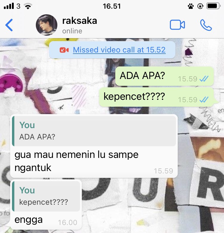 lilie tweet media