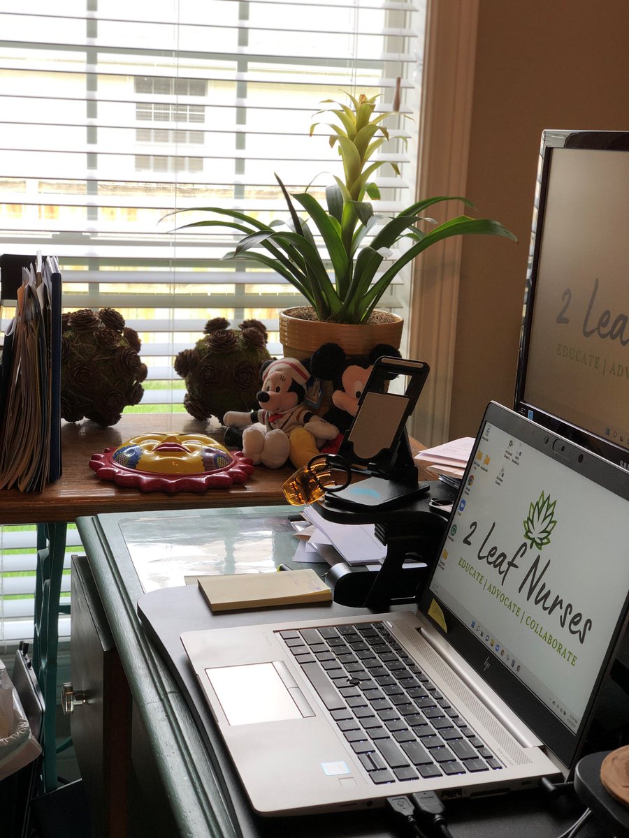 MONurses's tweet photo. If you had told me 20+ years ago that I would be a cannabis nurse &amp; instructor working from home, I would have laughed!  But that is exactly what I am, where I work, what I do...and I LOVE IT! Share a pic from your window at home or work!  #ShowMeMoNurses #NursesMonth https://t.co/euZIAPAqYW