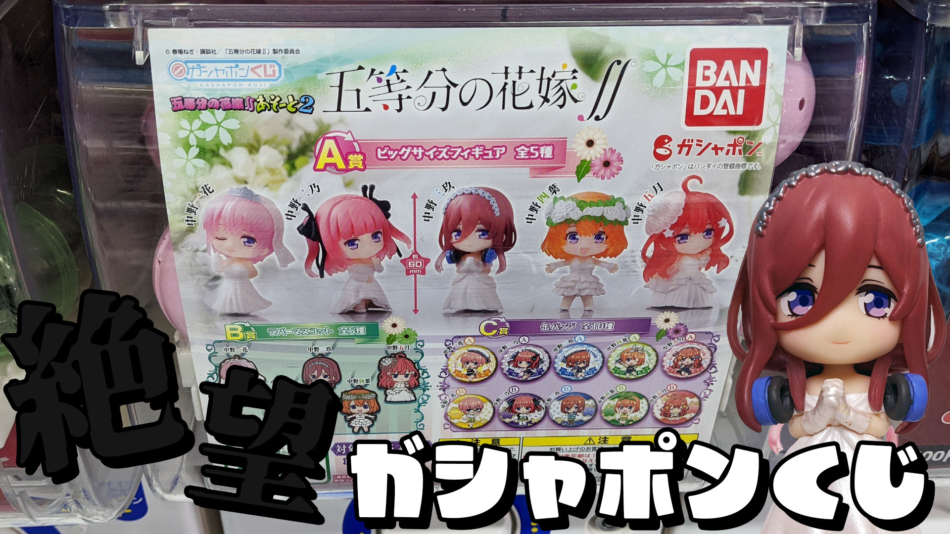 五等分の花嫁∬ ガシャポンくじ 五等分の花嫁あそーと 全20種 五等分の花嫁 あそーと2｜ガシャポンオフィシャルサイト