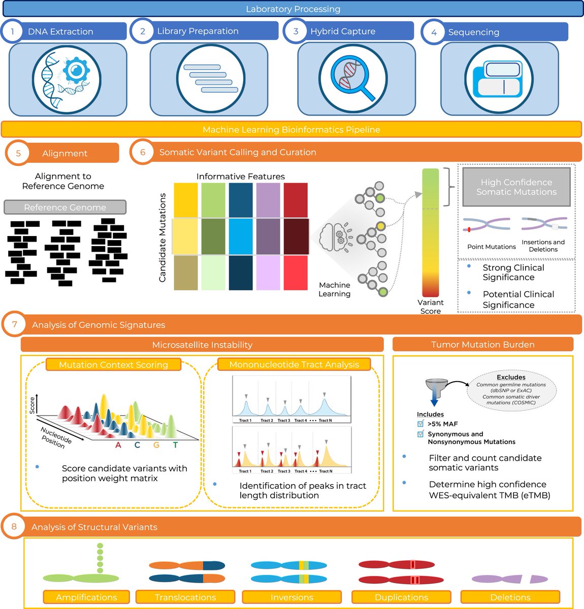 NatureComms's tweet photo. Recently published #CancerResearch: @PGDX_ researchers develop PGDx elio tissue complete, an automated and FDA-cleared clinical #genomics assay for #PanCancer #ComprehensiveGenomicProfiling #PrecisionOncology

@natrescancer

https://t.co/0X9kzfZxra https://t.co/jfMjDFtiO7