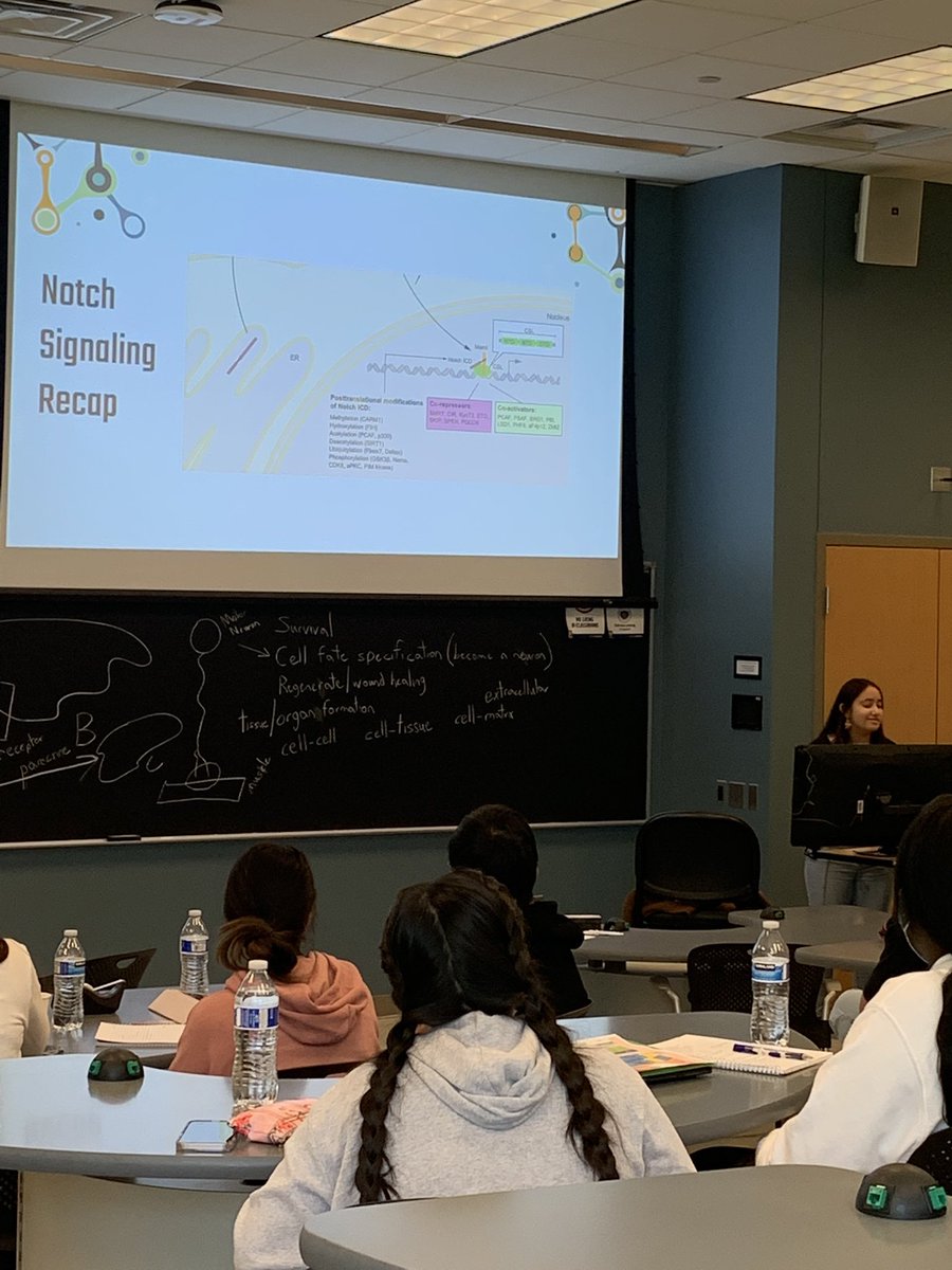 DFB_UM's tweet photo. Day 2 of #dfb2022 is in the books!! TA Andrea Rodriguez Ramos (@dreitta26) have a killer lecture on Notch signaling to follow-up on Dr. Ben Allen’s Cell Signaling lecture. Then, we identified lacZ mutant embryos!! https://t.co/oxJueRfva2
