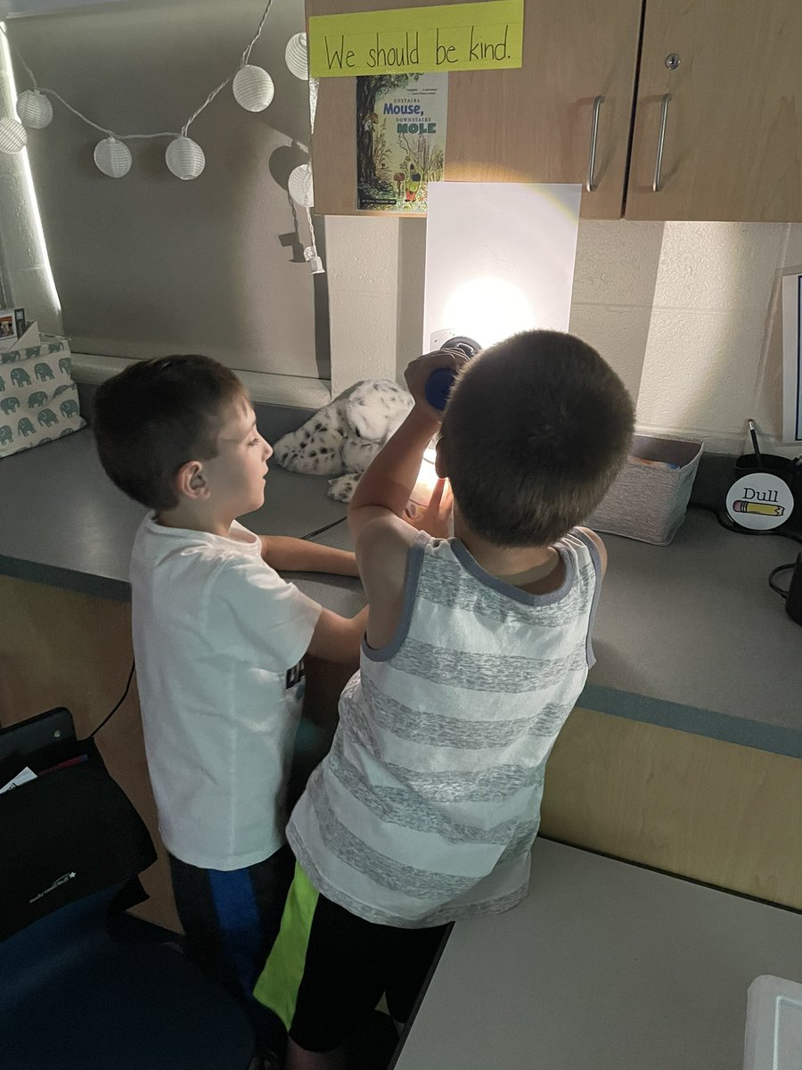 Brie Malone tweet media