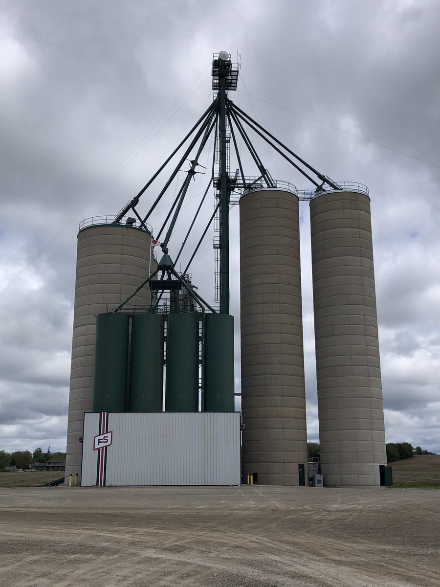 Did you know that our Milverton branch can store 5,400 MT of grain? The location also has a cardlock. Reach out to the team at <a href="/fs_mitchell/">Central Ontario FS-Mitchell</a> to learn more.