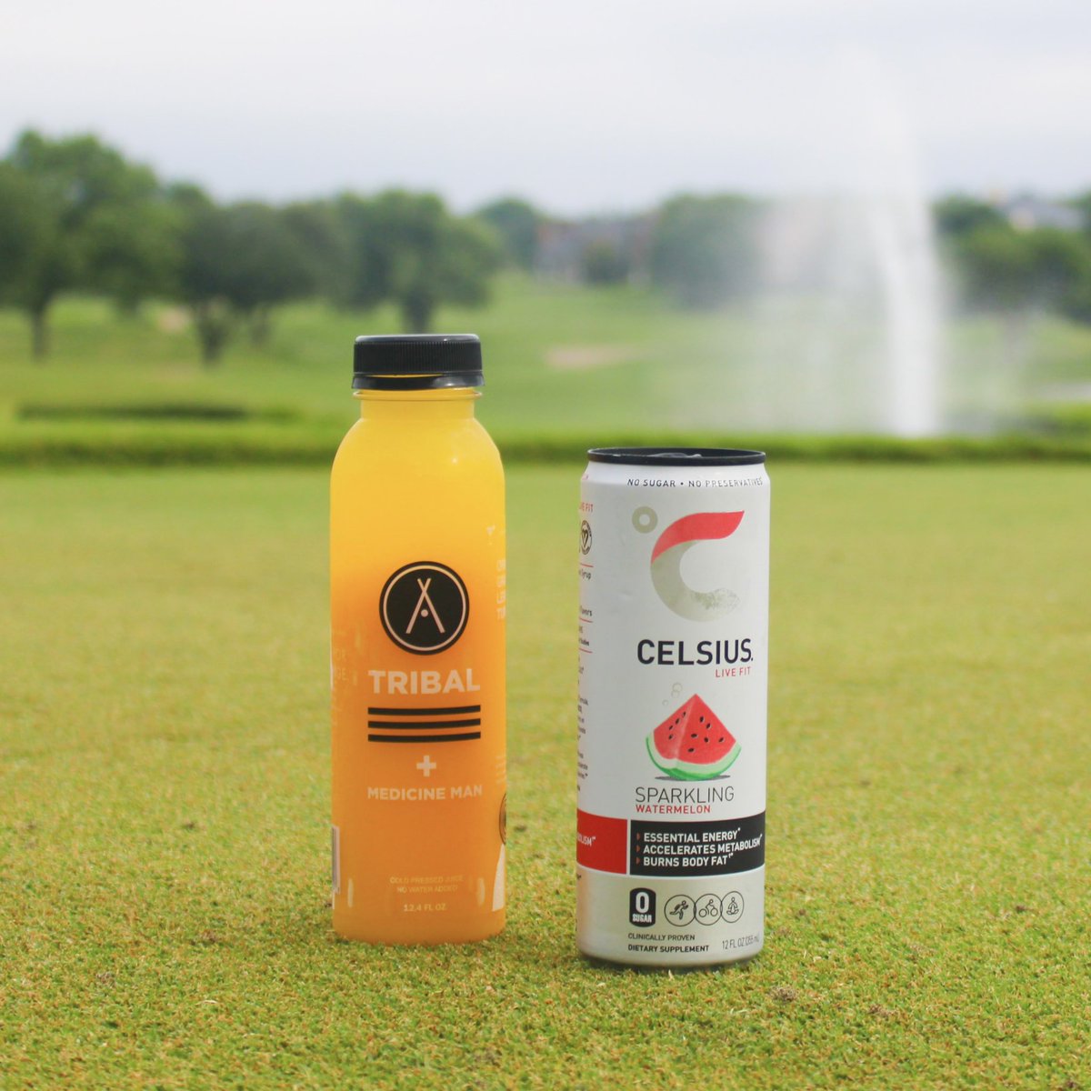 You asked, and we delivered!

The Turn now features your choice of Celsius products and fresh, Tribal cold-pressed juices. Make sure to grab yours before your next round!🏌️

#StonebriarCC #ClubLife #FriscoTX