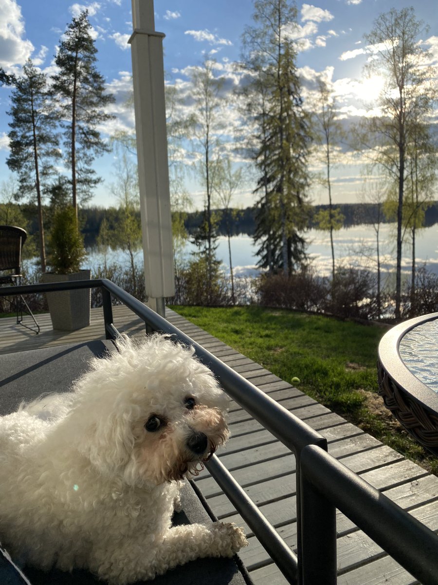 Hitaasti mutta varmasti. Kesää kohti. 🌱