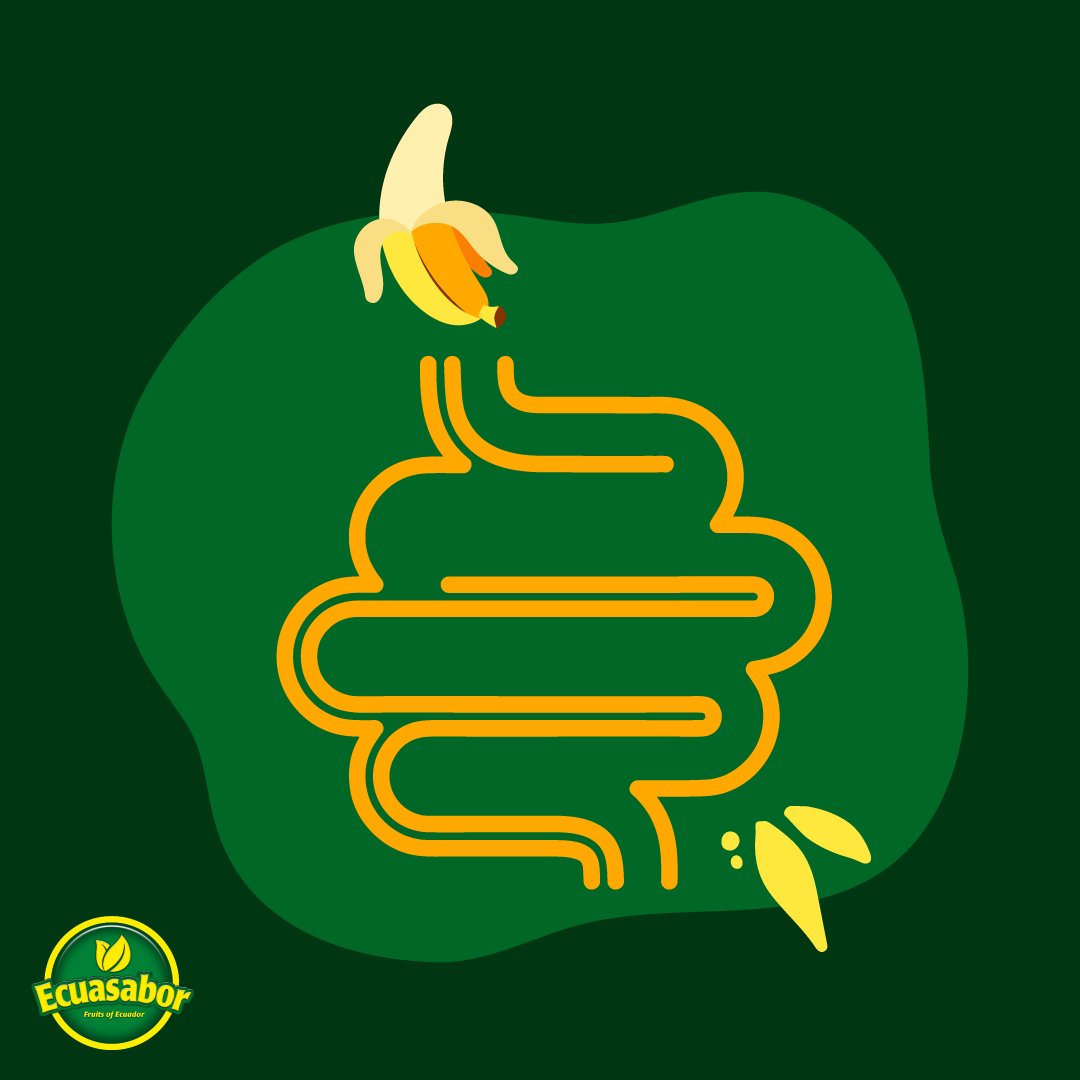 ecuasabor's tweet photo. Bananas 🍌 are one of the best foods that help with digestion because the carbohydrates they contain are easily broken down 💥. Also, bananas are a rich source of fructooligosaccharides, which act as a probiotic and promote the growth of good bacteria in the digestive tract🙌🏼. https://t.co/33l33Vx3j0