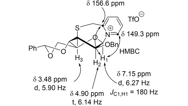 EurJOC's tweet photo. Influence of 3-Thio Substituents on Benzylidene-Directed Mannosylation: Isolation of a Bridged Pyridinium Ion and Effects of 3-O-Picolyl and 3-S-Picolyl Esters by David Crich and co-workers (@UGAPharmacy) https://t.co/OglQarVfOw https://t.co/a6Iax9ANjS