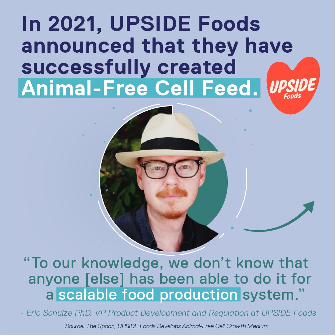 MEAT THE FUTURE tweet media