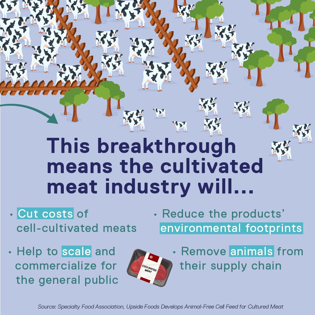 MEAT THE FUTURE tweet media