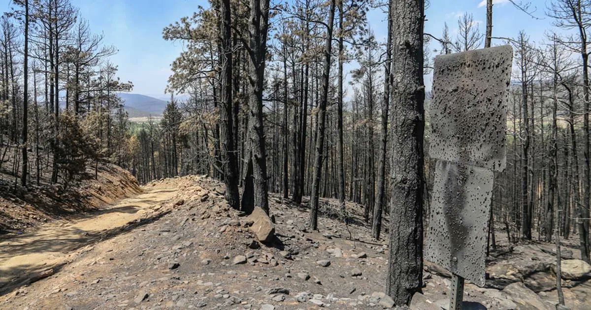 Santa Fe Reporter on Twitter "Pecos is on the verge of evacuation as