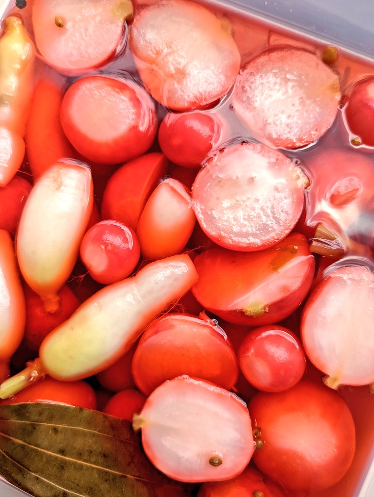 CafeGodot2's tweet image. We've missed you, it's just hard to be fun on social media when there's a new tragedy every week.

In the meantime, take a look at these beautiful radishes from @TheRootDownFarm we pickled.

See you tomorrow ❤️

#pickles #localvore #eat716 #eatlocal #foodpreservation #cafegodot