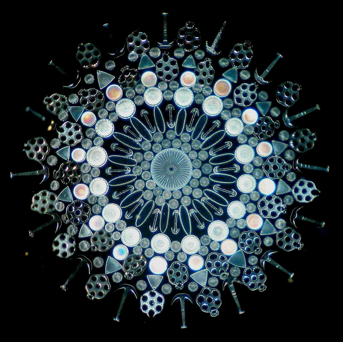 fffffferas's tweet photo. Microminiature (microscopic art) from the 19th Century https://t.co/j1dXjMzeLn