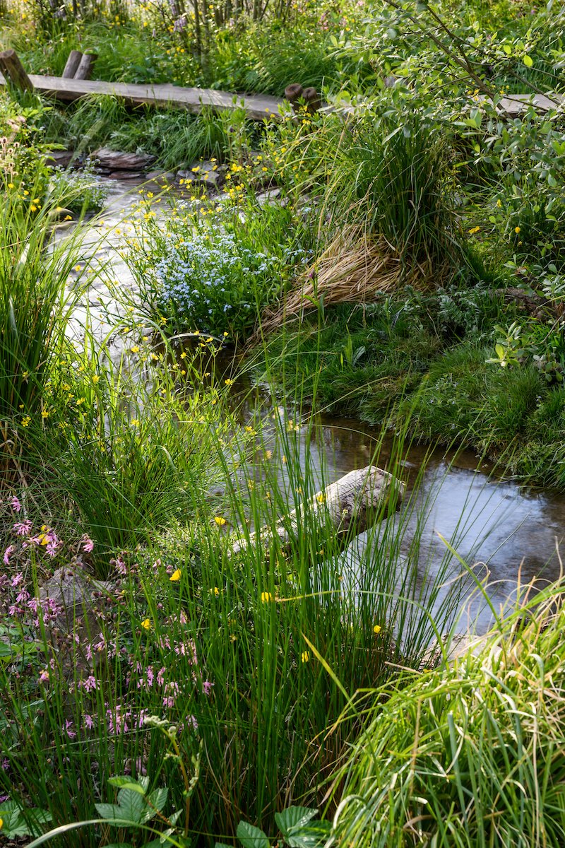 If A Rewilding Britain Landscape has captured your imagination at #RHSChelsea, will you give it your vote for the People's Choice Award? Voting closes at 7pm on Thursday 26 May. bbc.co.uk/programmes/art…
📷 Jason Ingram