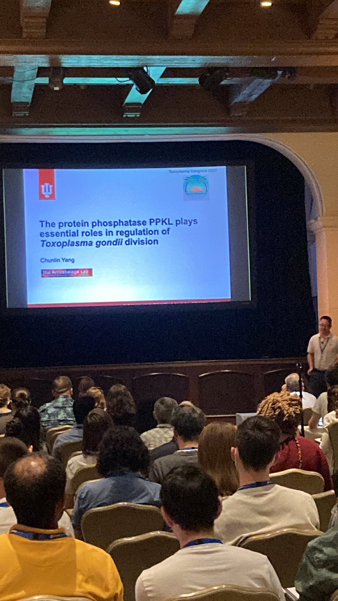 parasitesrule's tweet photo. Chunlin Yang from the Arrizabalaga lab @GAArrizabalaga talking about the Kelch domain containing protein phosphatase PPKL and its role in regulation of Toxoplasma gondii division #ToxoXVI https://t.co/XCo493aWLq