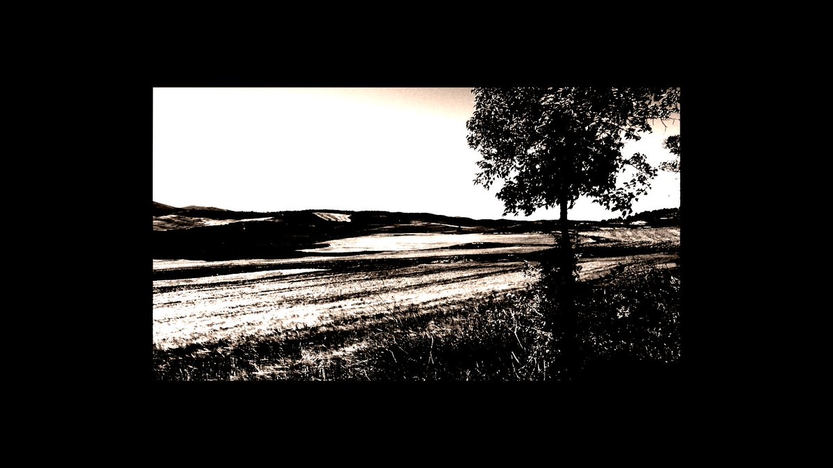 Stills from the upcoming video for my new single, Moved On, which releases this Friday.

Available on all major streaming services 27/05/2022!