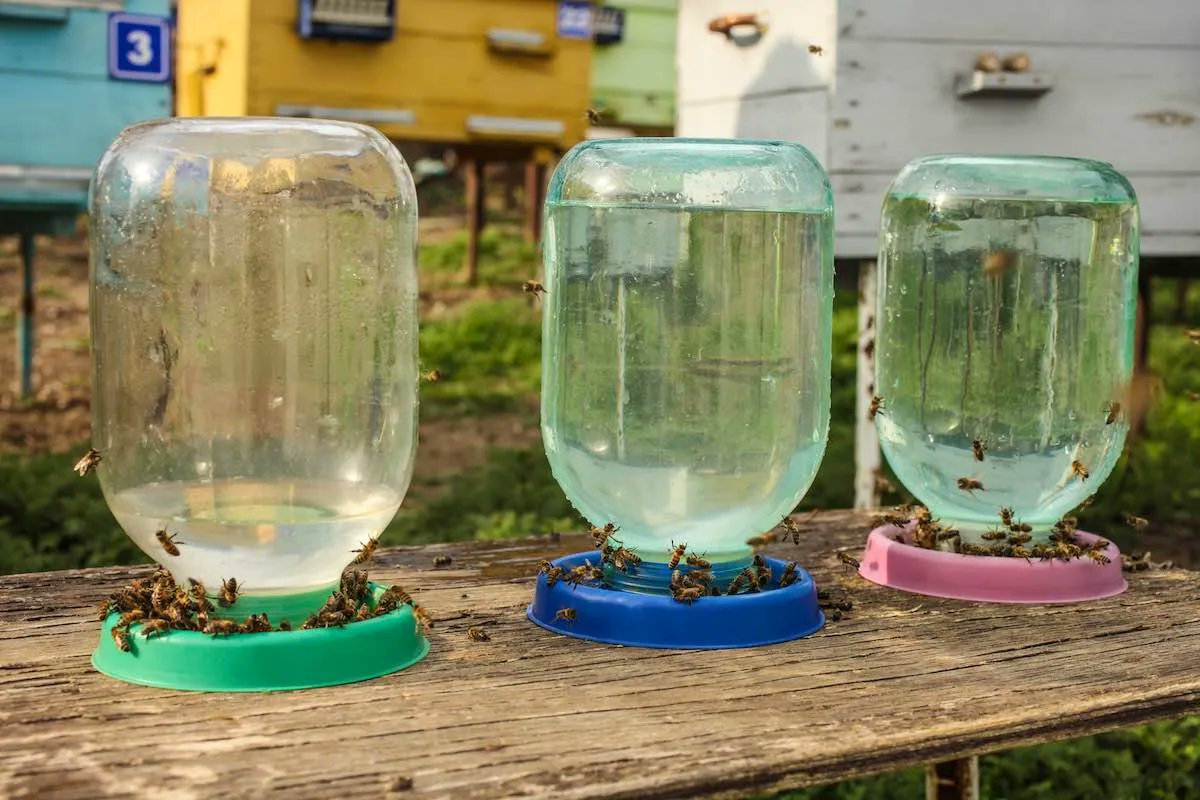 Bebederos para abejas: por qué, recomendaciones, ideas.

ecoinventos.com/bebederos-para…