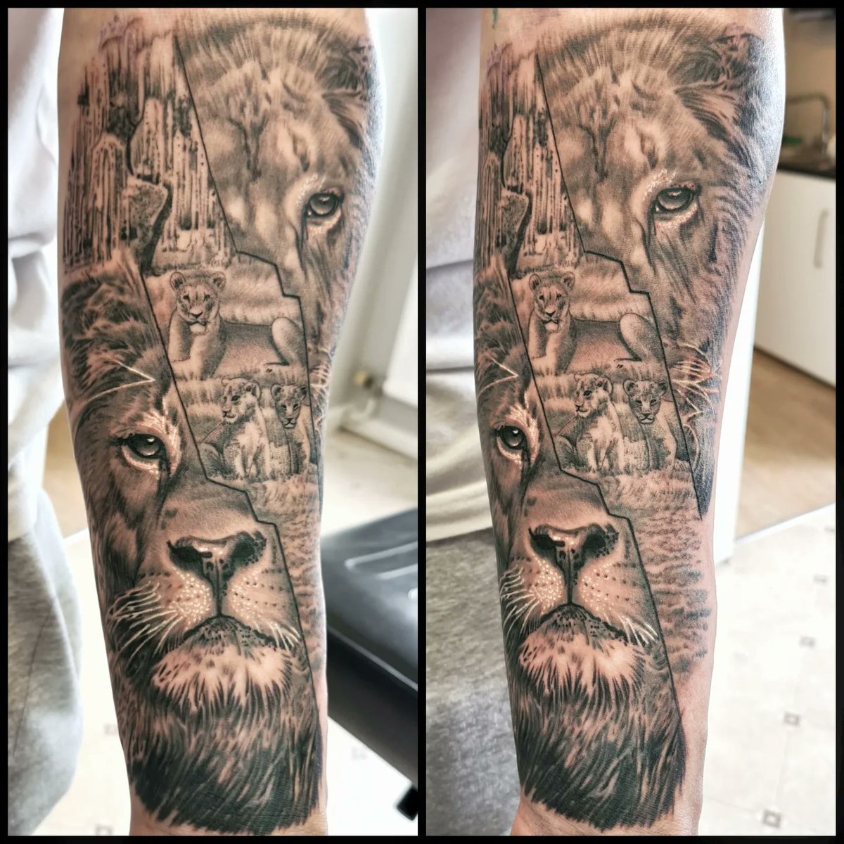 Lion tattoo from today #tattoo #liontattoo #tattoosleeve #INKED #inkmaster