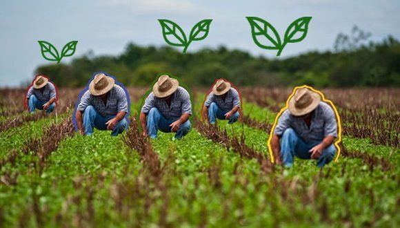AgricCuba's tweet photo. En la agricultura, los procesos llevan tiempo y algunos son largos. Son 63 medidas que incluyen 658 acciones, con metas e indicadores medibles. “No son medidas estáticas, sino que se van mejorando”, al tiempo que se rinde cuentas a sus promotores
#AgriculturaCubana #Cuba #Minag https://t.co/Gl4oEBl8Nh