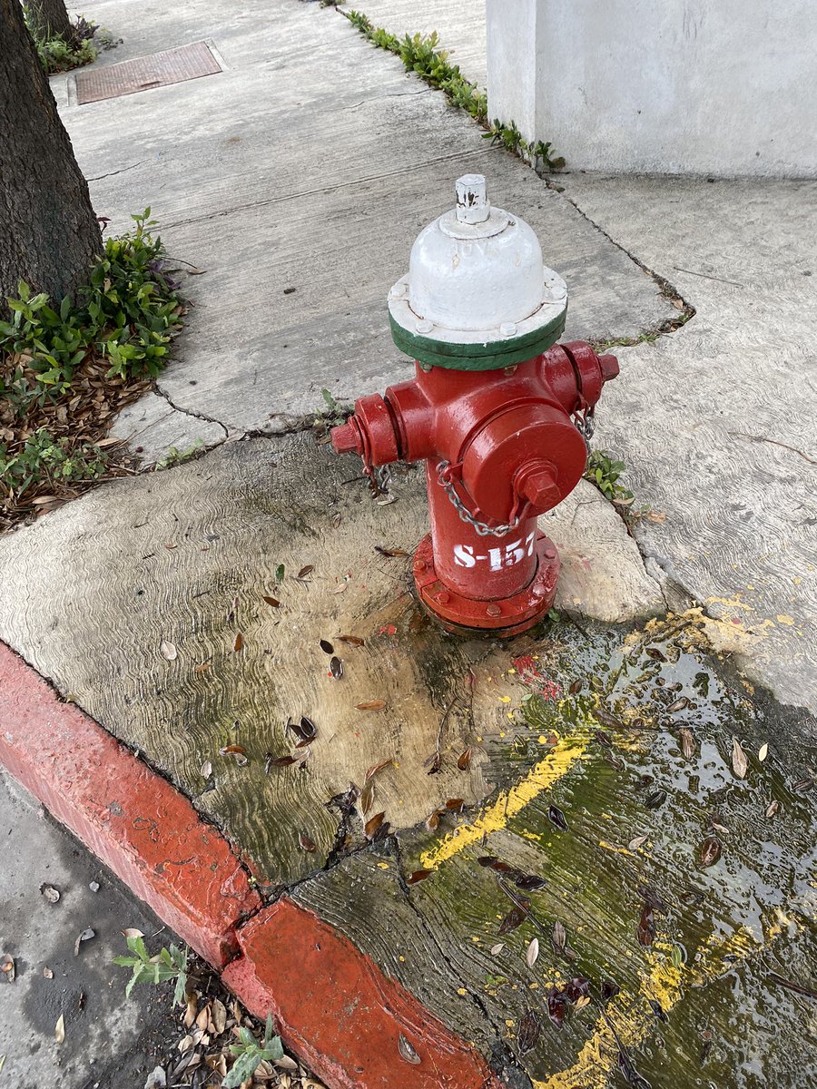 reginaangulo98's tweet photo. @Cicmty hay una fuga de agua aquí @conaguariobravo @conagua_mx @TecdeMonterrey @TECcampusMTY esquina Alamos y Lirios alado del Tec https://t.co/YQmVni2UOo