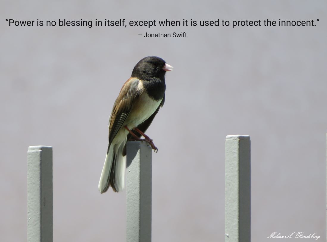 MelissaAnnRends's tweet photo. “Power is no blessing in itself, except when it is used to protect the innocent.” – Jonathan Swift https://t.co/wQYd53msBX