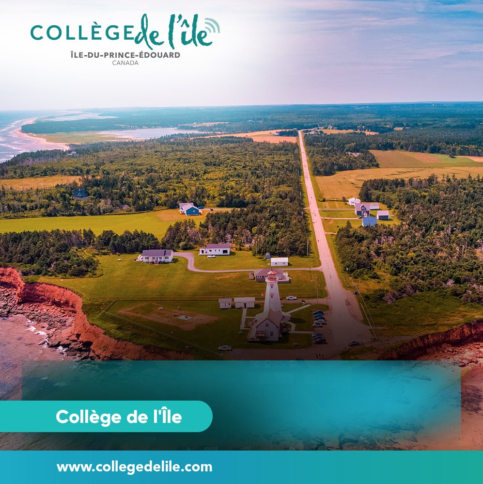 Au Collège de l'Île vous trouverez des programmes réguliers, de la formation sur mesure, une formation axée sur le marché du travail, et une multitude de #bourses chaque année pour vous aider à payer vos #études. Contactez-nous pour en savoir plus.