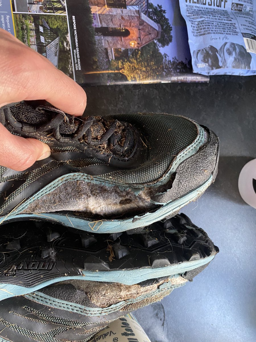 AlienAlly's tweet photo. @inov_8 tough choice to be throwing these out with no wear on the soles but uppers completely trashed, environmental policy needs some work as these have barely been used. I have some 235 still perfect uppers and worn right down, years old and still going strong 🤔 https://t.co/Azqo6fzYWB