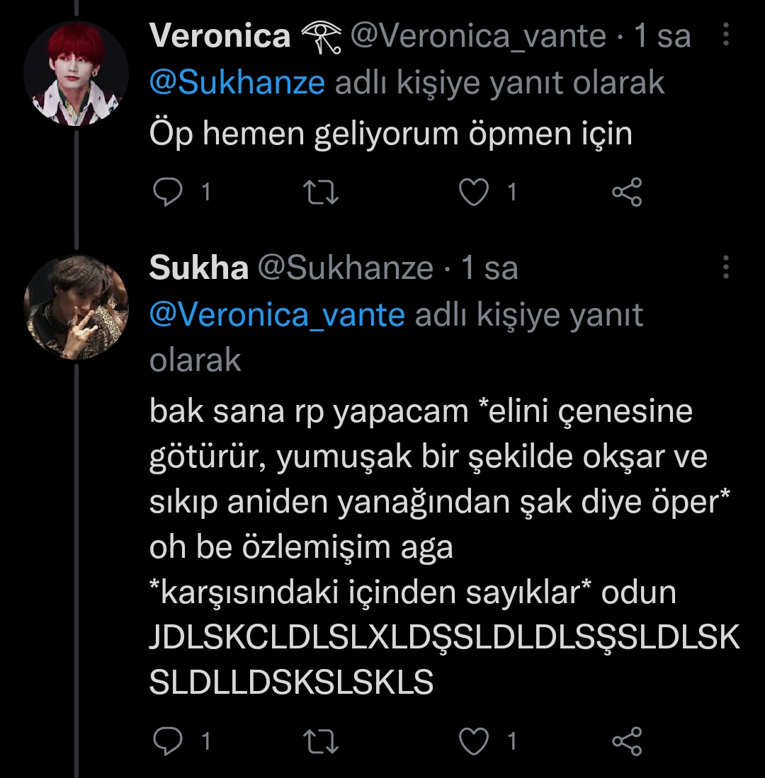 113- *yapılan rpyi izledim*