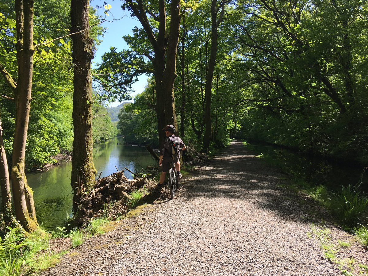 luweezze's tweet photo. @SustransCymru Route 46 #neathcanal beautiful 👊👏 https://t.co/E8MLZAckIM