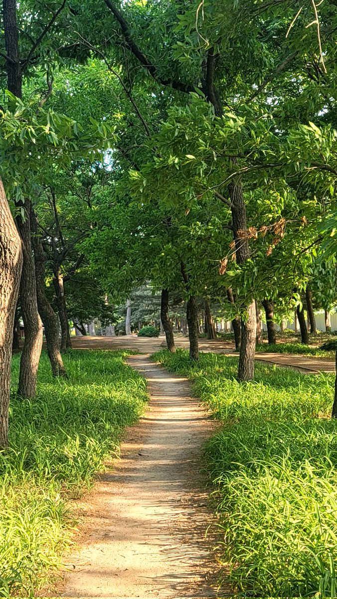 주홍맘 tweet media