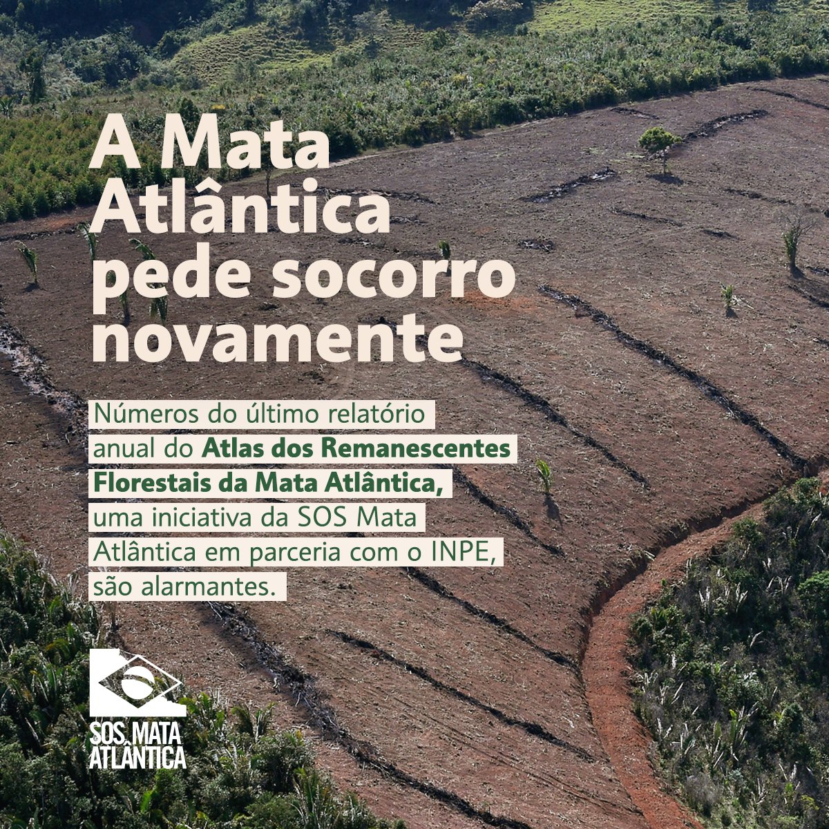 SOS Mata Atlântica tweet media