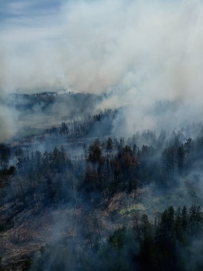 RT @nexta_tv: Forests are on fire again in #Russia.  This time in the #Altai region. https://t.co/g6fufG4PbK