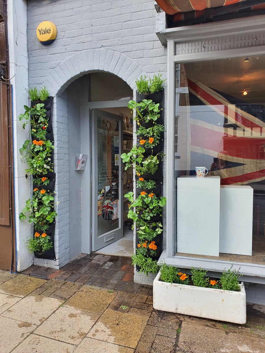 Our shop planted up <a href="/loveBritishmade/">BRITdesign BRITmade</a>, Battle, East Sussex, in readiness for #JubileeCelebration, all edible, bird and bee friendly.