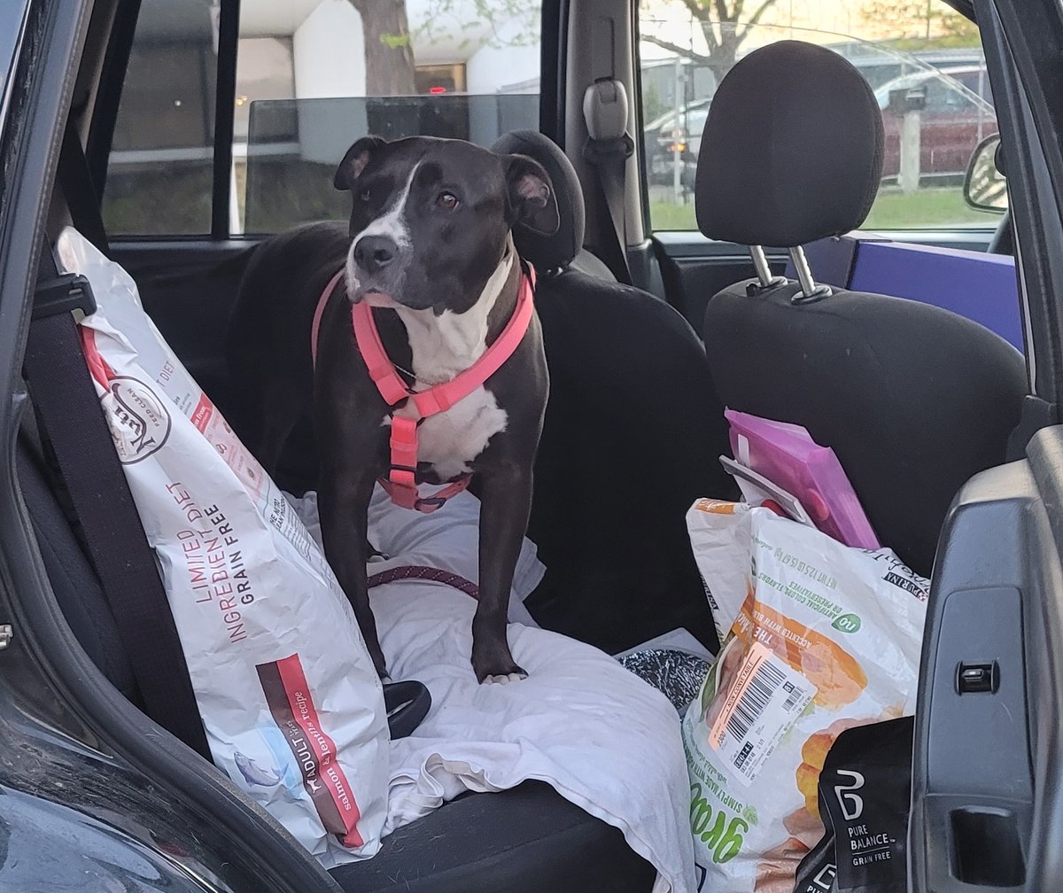 People&PetsTogether tweet media