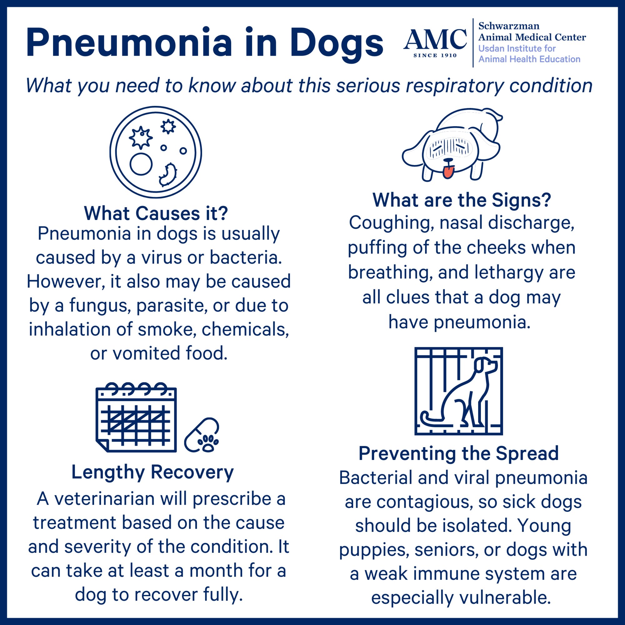How Serious Is Pneumonia In Dogs