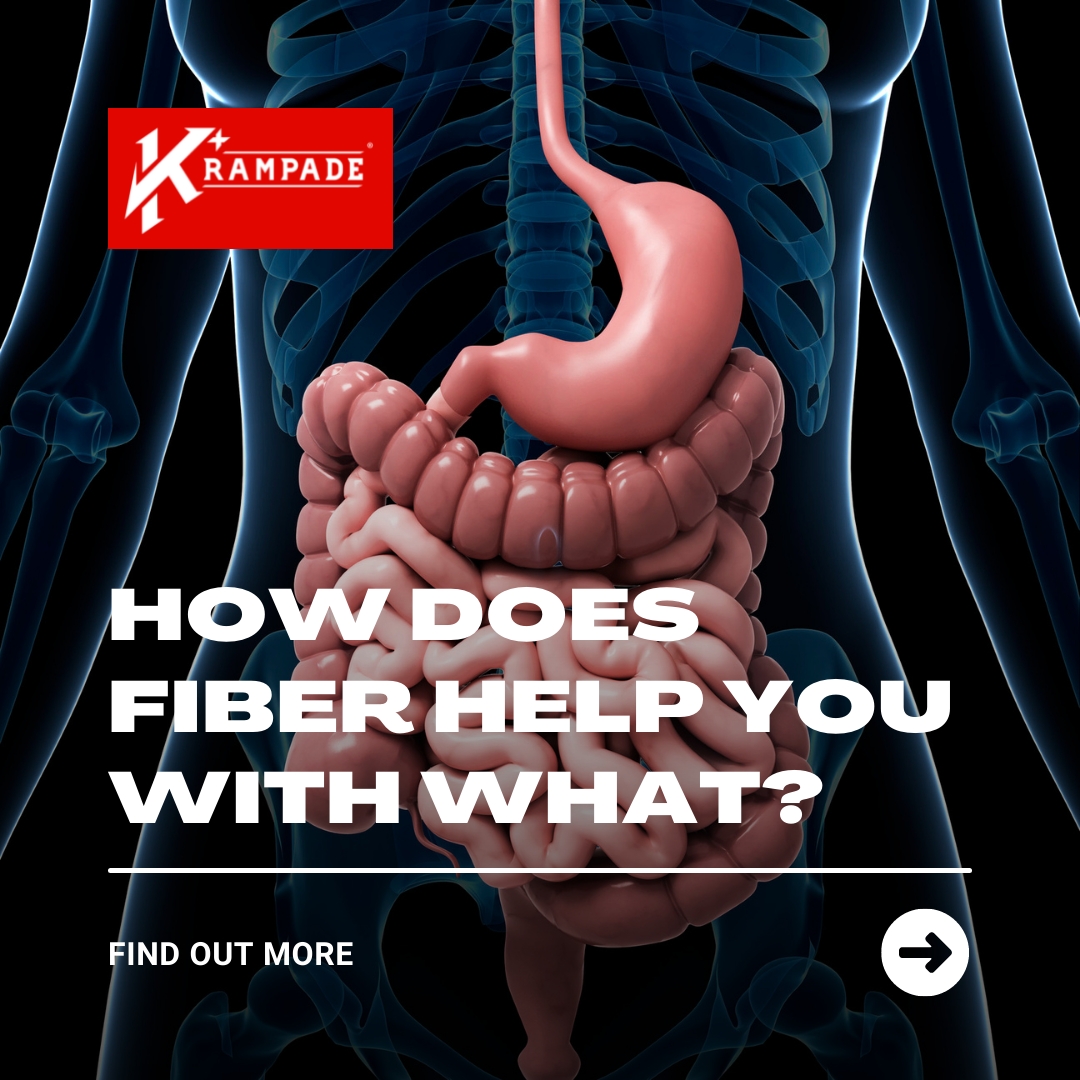 krampade's tweet image. You know you're supposed to consume lots of fiber — but do you know why fiber is so good for your health❓#prebioticfiber #prebioticsupport #digestivesystem #bloating #constipation #guthealthy #healyourgut #prebiotics #functionalnutrition #probiotic #healthygut #digestivehealth