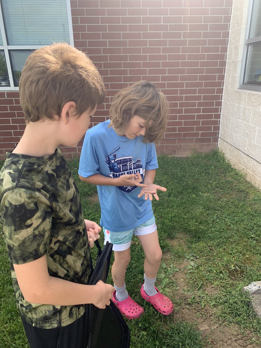TeamCourageDAIS's tweet image. Reviewing science concepts OUTSIDE! #invertebrates #kineticenergy #solidliquidgas