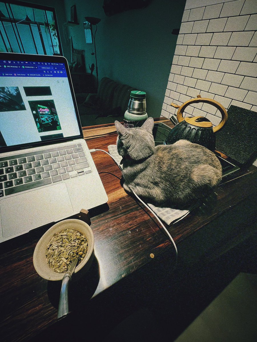 Lauritachurch's tweet photo. Qué raro y peludo se puso el mouse… https://t.co/lwszhk0c2A