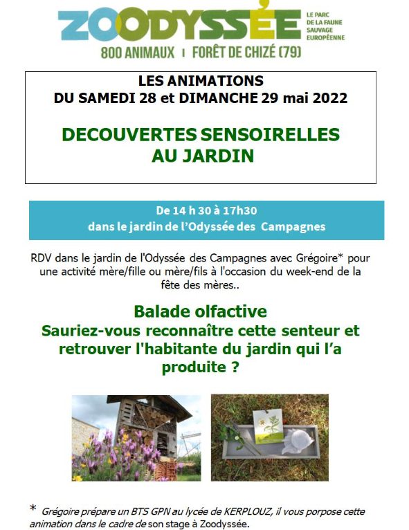 DeuxSevres's tweet photo. [Week-end de l'ascension] Animations à #Zoodyssée : 
👉Jeudi 26 et vendredi 27: Découvrez le travail quotidien des soigneurs du parc
👉Samedi 28 et dimanche 29: Découverte sensorielle au jardin à l'occasion de la fête des mères 
🌐Infos pratiques : https://t.co/axK9SGxtz5 https://t.co/7YwbCOdtva