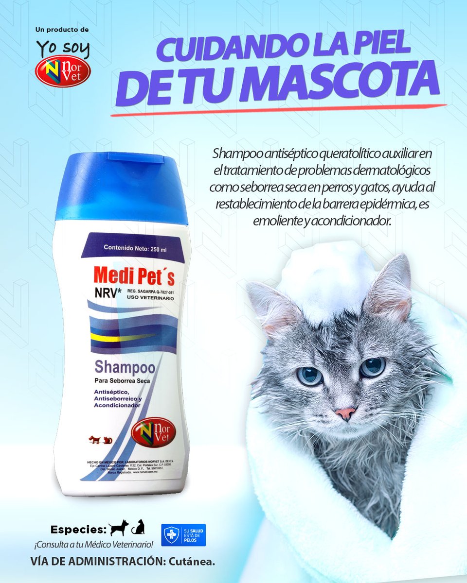 LabNorvetMX's tweet photo. Conoce #MediPets de #Norvet shampoo antiséptico auxiliar en el tratamiento de problemas dermatológicos en perros y gatos. 🐱🐶 #TodosSomosNorvet https://t.co/cOPjqe93KU