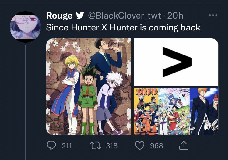 ORDEN PARA VER HUNTER X HUNTER 