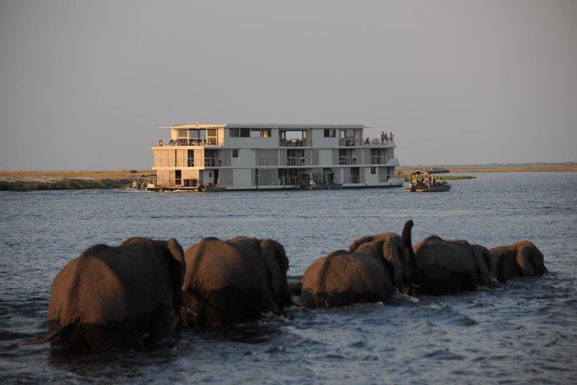 ZQCollection's tweet image. The perfect place to pause and reflect on the beauty of our exquisite content! #HappyAfricaDay from the Zambezi Queen Collection team. 🌍🐘

#africa #travel #choberiver #floatinghotel