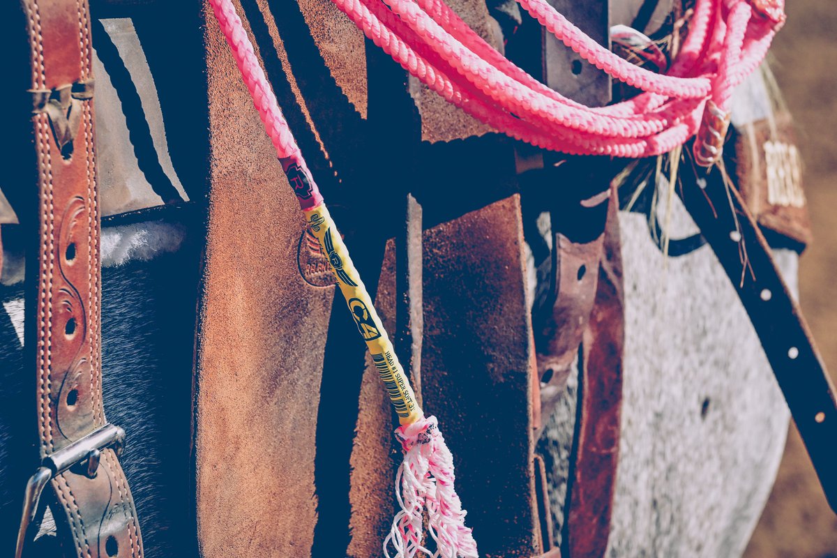 How hot is it where you are? Time to pull out the C4!🔥
#bRelentless #firstswing #conquerwithcactus