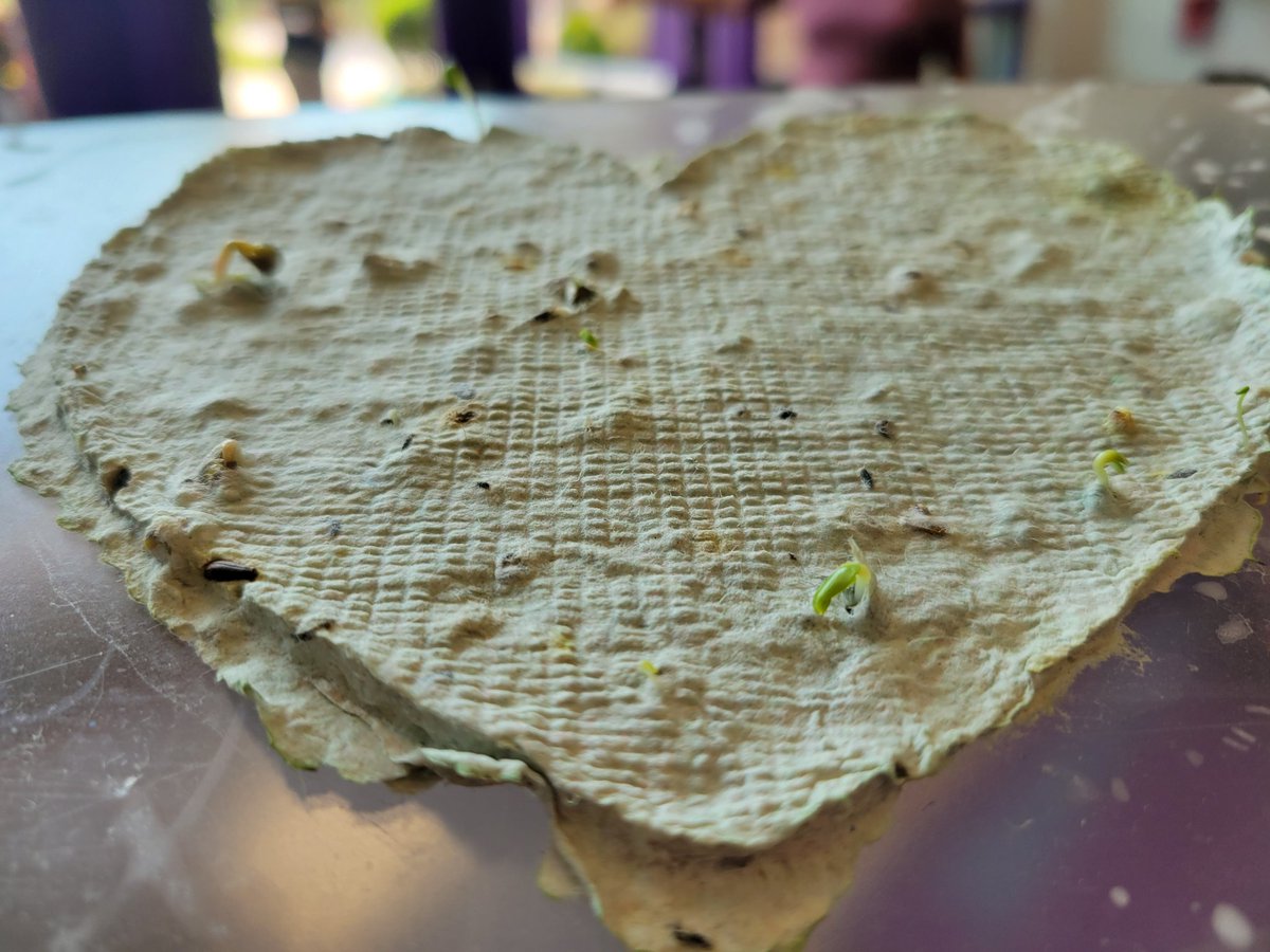 My third graders recycled the paper at our school into NEW PAPER!  We added seeds into the paper to go with our plant unit and to give us the ability to recycle the paper AGAIN, but then our paper sprouted! 🌱 I love how this turned into such a learning experience for me too.